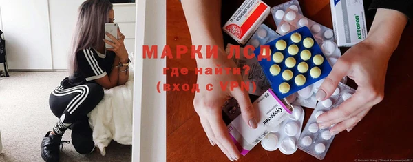 стафф Новодвинск