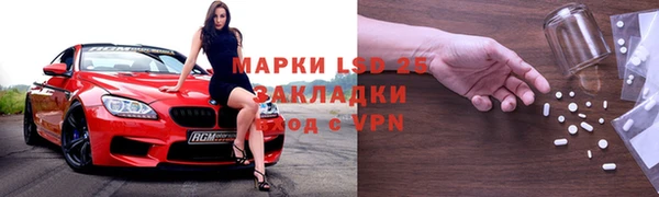 гашик Новозыбков