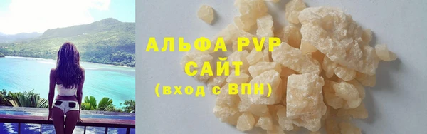 стафф Новодвинск