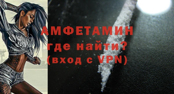 гашик Новозыбков