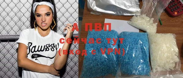 стафф Новодвинск