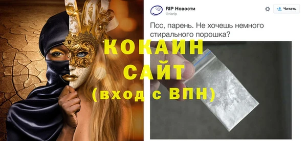 гашик Новозыбков