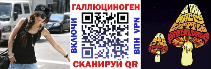 купить наркоту  Бирюч  Псилоцибиновые грибы Magic Shrooms 